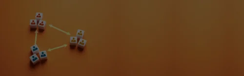 Organisatie Elif Scholen